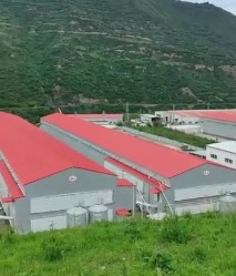 華邦建設(shè)宕昌項(xiàng)目鋼結(jié)構(gòu)廠房